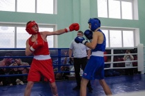 В Вольске проходит первенство региона по боксу