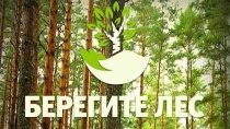 В лесах Саратовской области устанавливается особый противопожарный режим