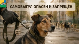 Самовыгул животных запрещен!