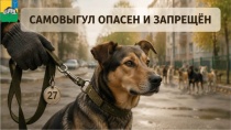Самовыгул животных запрещен!