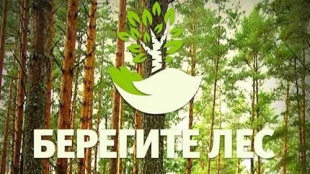 В лесах Саратовской области устанавливается особый противопожарный режим